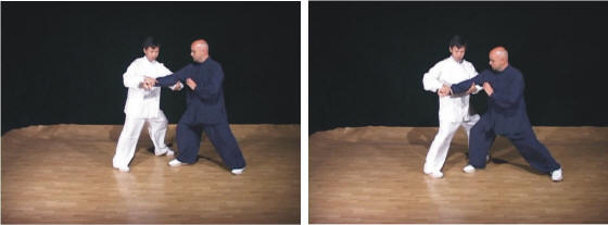 Video mit Meister Yang Jun: Kampfkunst-Anwendungen des Yang-Tai-Chi